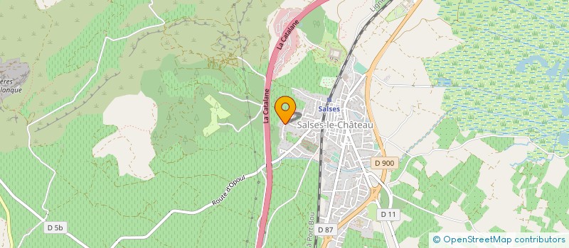 localisation de l'entreprise MONSIEUR SERGE DENIN à SALSES-LE-CHATEAU