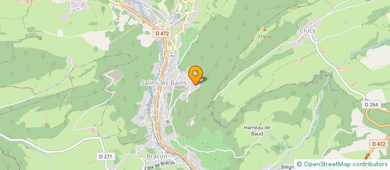 localisation de l'entreprise MONSIEUR SERGE ETIENNE  SALINS-LES-BAINS