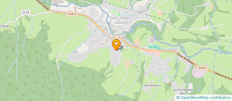 localisation de l'entreprise MONSIEUR SERGE FABRE  SAINT-AMANS-SOULT