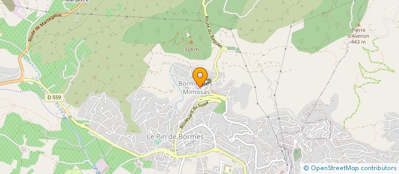 localisation de l'entreprise MONSIEUR SERGE JOURDAN à BORMES-LES-MIMOSAS