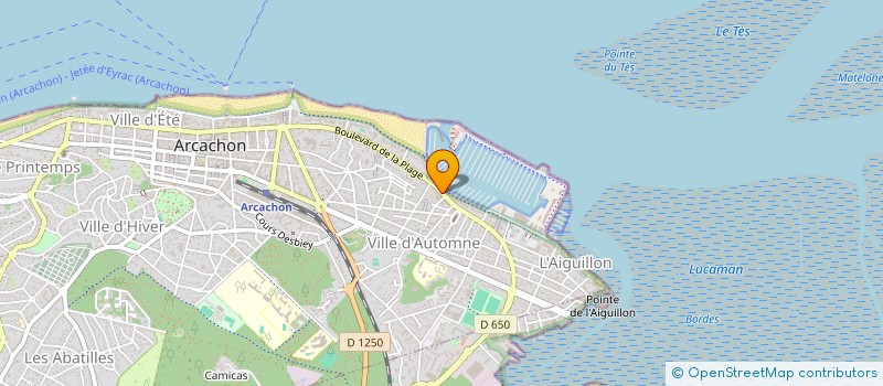 localisation de l'entreprise MONSIEUR SERGE JURET à ARCACHON