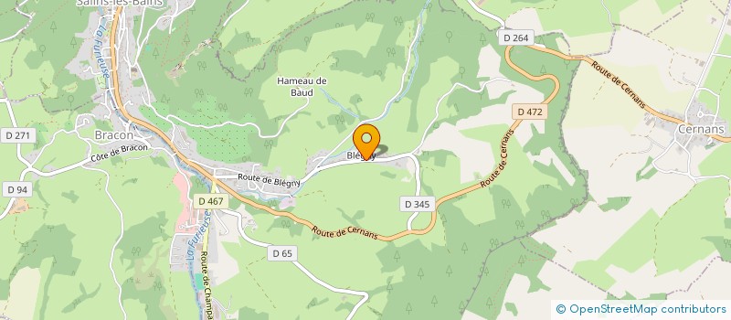 localisation de l'entreprise MONSIEUR SERGE MARTINS  SALINS-LES-BAINS