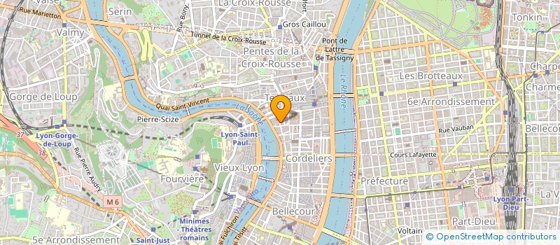localisation de l'entreprise MONSIEUR SERGE MENIL à LYON