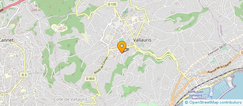 localisation de l'entreprise MONSIEUR SERGE PAPPALARDO à VALLAURIS