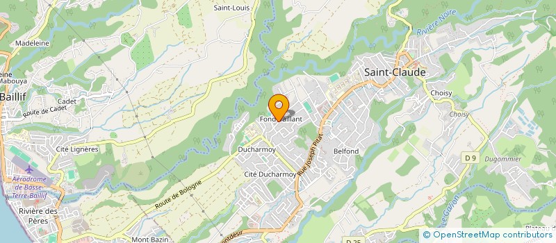 localisation de l'entreprise MONSIEUR SERGE PASCAUD-BLANDIN à SAINT-CLAUDE
