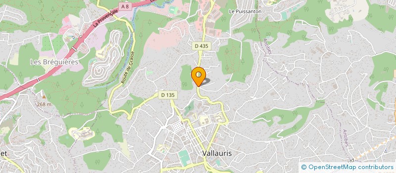 localisation de l'entreprise MONSIEUR SERGE PASQUALINI à VALLAURIS