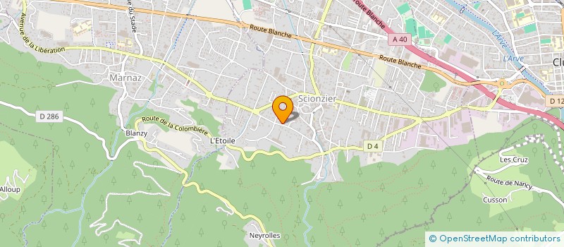 localisation de l'entreprise MONSIEUR SERGE PETTENE  SCIONZIER