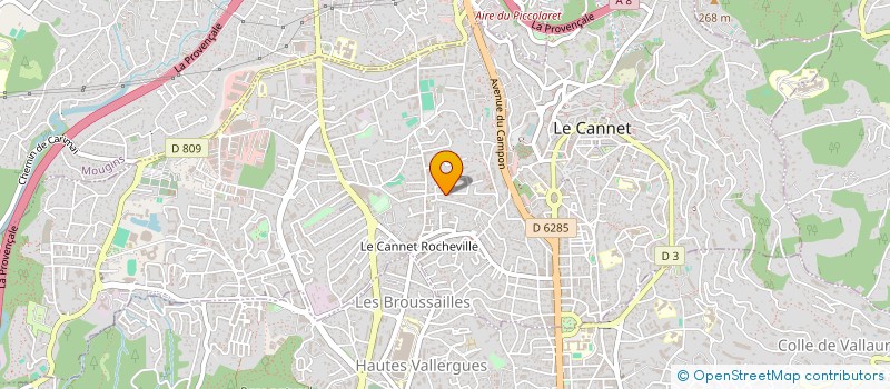 localisation de l'entreprise MONSIEUR SERGE PIERRE à LE CANNET