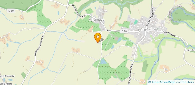 localisation de l'entreprise MONSIEUR SERGE PINEAU  MAUGES-SUR-LOIRE