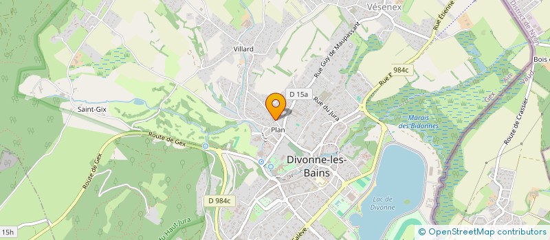 localisation de l'entreprise MONSIEUR SERGE PITTET  DIVONNE-LES-BAINS