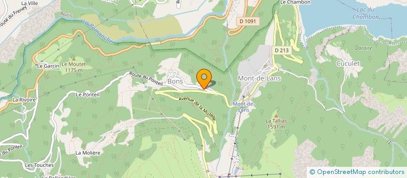 localisation de l'entreprise MONSIEUR SERGE PRIMATESTA  LES DEUX ALPES