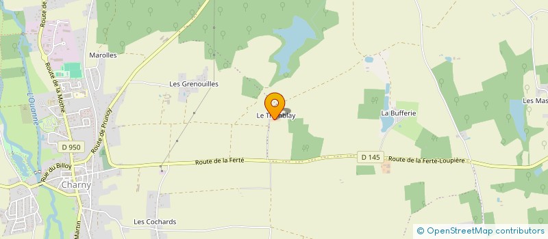 localisation de l'entreprise MONSIEUR SERGE RAIMBAULT à CHARNY OREE DE PUISAYE