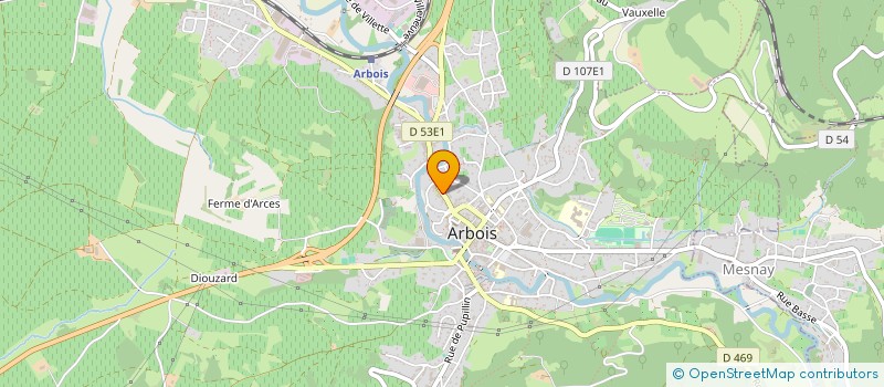 localisation de l'entreprise MONSIEUR SERGE REVERCHON à ARBOIS