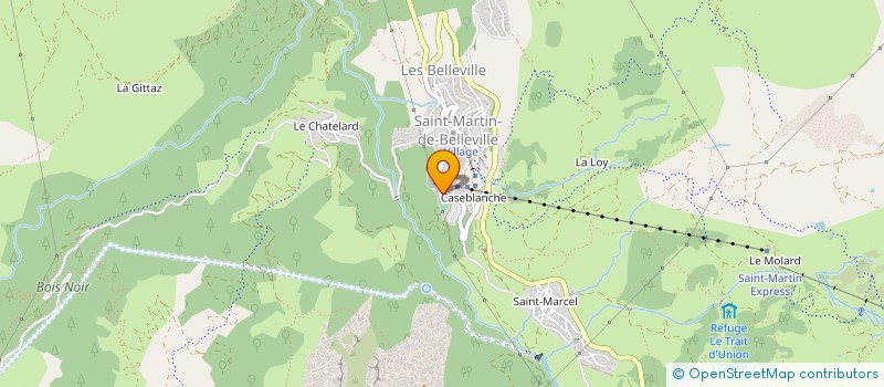 localisation de l'entreprise MONSIEUR SERGE REY  LES BELLEVILLE