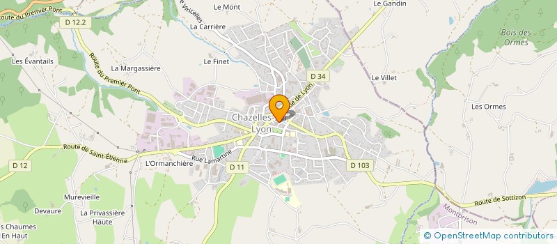 localisation de l'entreprise MONSIEUR SERGE RUSSIER à CHAZELLES-SUR-LYON
