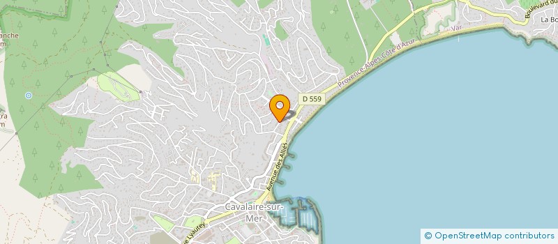 localisation de l'entreprise MONSIEUR SERGE RYVLIN à CAVALAIRE-SUR-MER