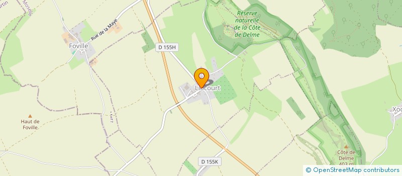 localisation de l'entreprise MONSIEUR SERGE SCHMITT  LIOCOURT