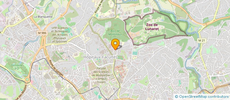 localisation de l'entreprise MONSIEUR SERGE SOMBIA à MONTPELLIER