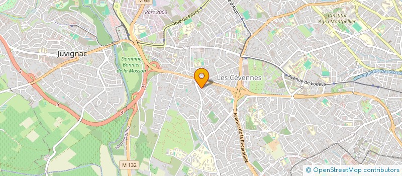 localisation de l'entreprise MONSIEUR SERGE TELLO à MONTPELLIER