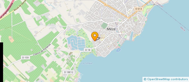 localisation de l'entreprise MONSIEUR SERGE TEXIER à MEZE