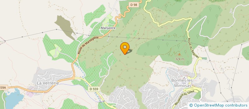 localisation de l'entreprise MONSIEUR SERGE TRIFANOVITCH  BORMES-LES-MIMOSAS