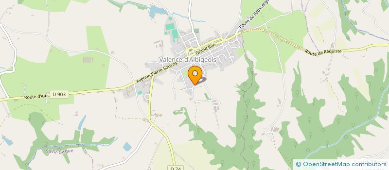 localisation de l'entreprise MONSIEUR SERGE TROUCHE  VALENCE D'ALBIGEOIS