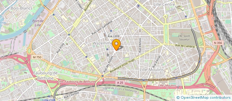localisation de l'entreprise MONSIEUR SERGE VANWESEMAEL à LILLE