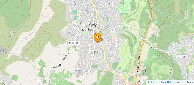 localisation de l'entreprise MONSIEUR SERGE VIDAL à SAINT-GELY-DU-FESC