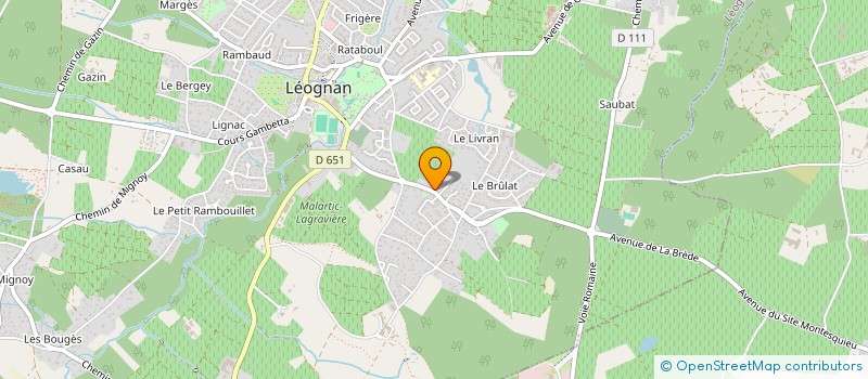 localisation de l'entreprise MONSIEUR SERGE VIREMOUNEIX  LEOGNAN