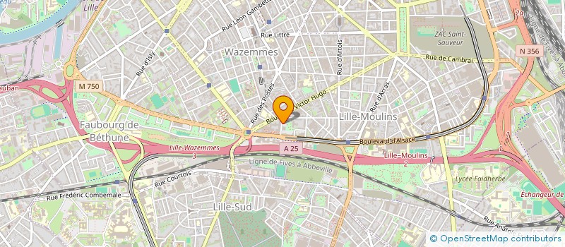 localisation de l'entreprise MONSIEUR SERGE WADOUX à LILLE