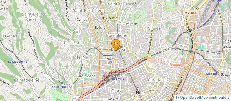 localisation de l'entreprise MONSIEUR SERGEY BORODICH à NICE