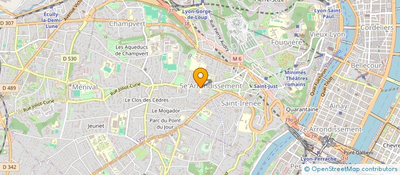 localisation de l'entreprise MONSIEUR SERGEY KOLESOV à LYON