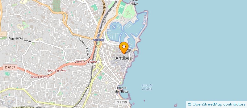 localisation de l'entreprise MONSIEUR SERGEYS MANDZYUKS à ANTIBES