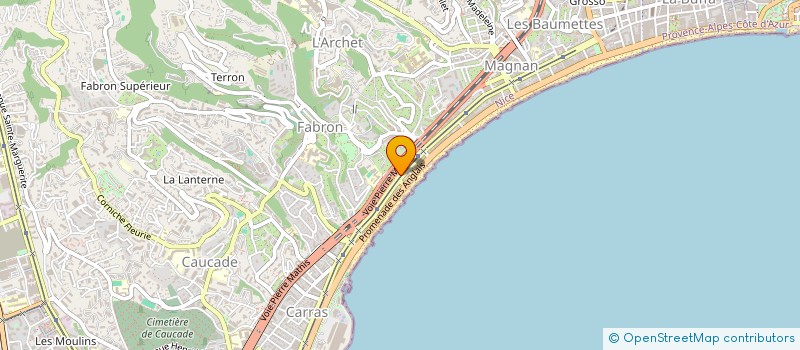 localisation de l'entreprise MONSIEUR SERGHEI ANASTASII  NICE