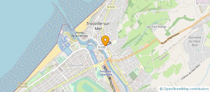 localisation de l'entreprise MONSIEUR SERGHEI MISCOI  TROUVILLE-SUR-MER