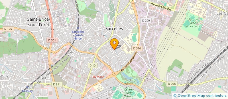 localisation de l'entreprise MONSIEUR SERGHEI NEMET  SARCELLES