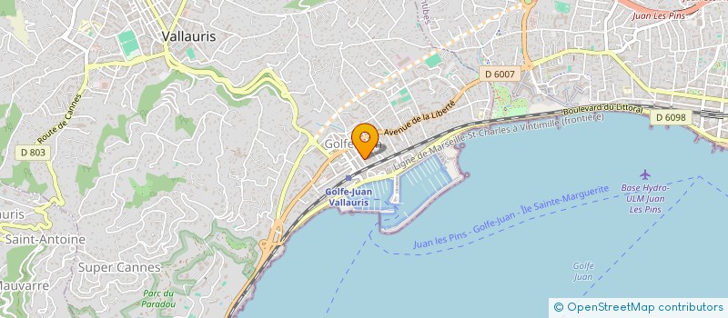 localisation de l'entreprise MONSIEUR SERGHEI VLAS  VALLAURIS