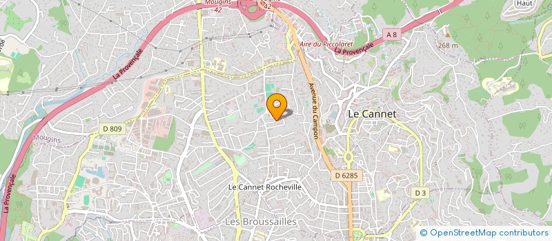 localisation de l'entreprise MONSIEUR SERGII BARYSHNIKOV à LE CANNET