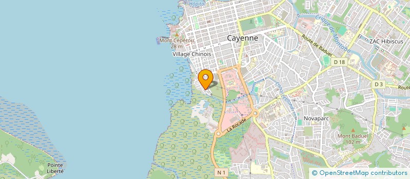 localisation de l'entreprise MONSIEUR SERGIO COSTA ARAUJO  CAYENNE