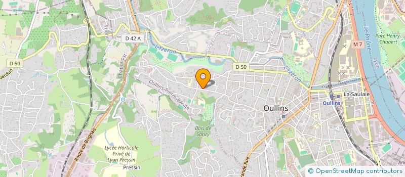 localisation de l'entreprise MONSIEUR SERGIO DE MIRANDA ARVELO  OULLINS-PIERRE-BENITE