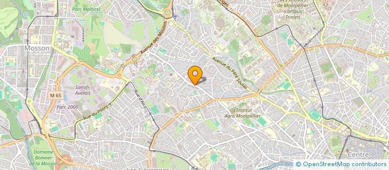 localisation de l'entreprise MONSIEUR SERGIO SOBRAL DE MIRANDA  MONTPELLIER