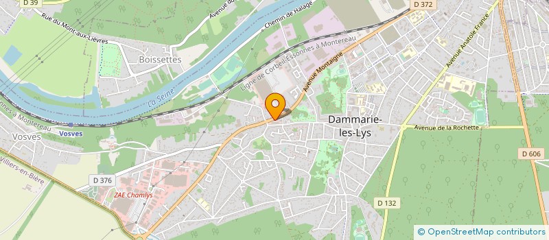 localisation de l'entreprise MONSIEUR SERGIU BURULEA à DAMMARIE-LES-LYS