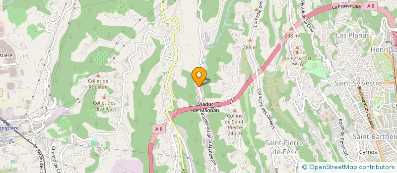 localisation de l'entreprise MONSIEUR SERGIU BUZNEA  NICE