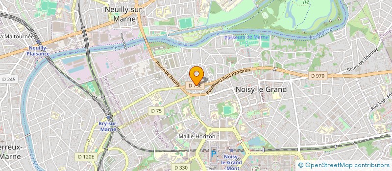 localisation de l'entreprise MONSIEUR SERGIU DARIE à NOISY-LE-GRAND