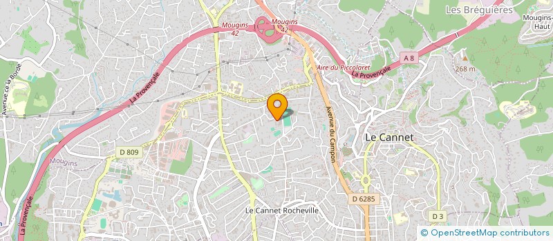 localisation de l'entreprise MONSIEUR SERGIU LEU à LE CANNET