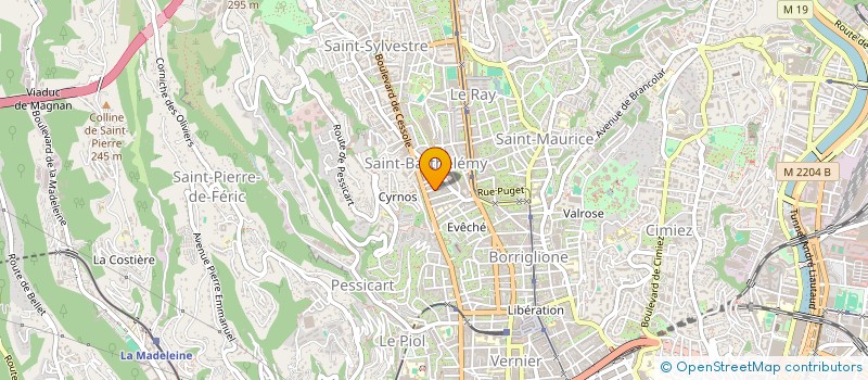localisation de l'entreprise MONSIEUR SERGIU NITULEAC à NICE
