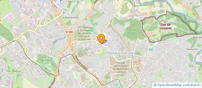 localisation de l'entreprise MONSIEUR SERGUEI MASLOV  MONTPELLIER