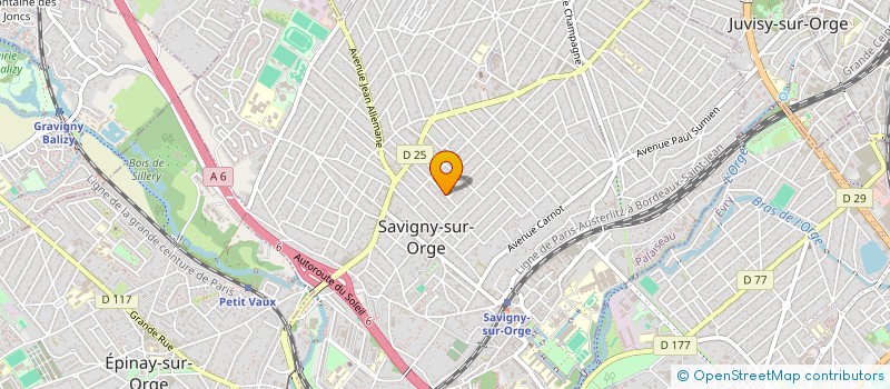localisation de l'entreprise MONSIEUR SERHII TOFTUL à SAVIGNY-SUR-ORGE