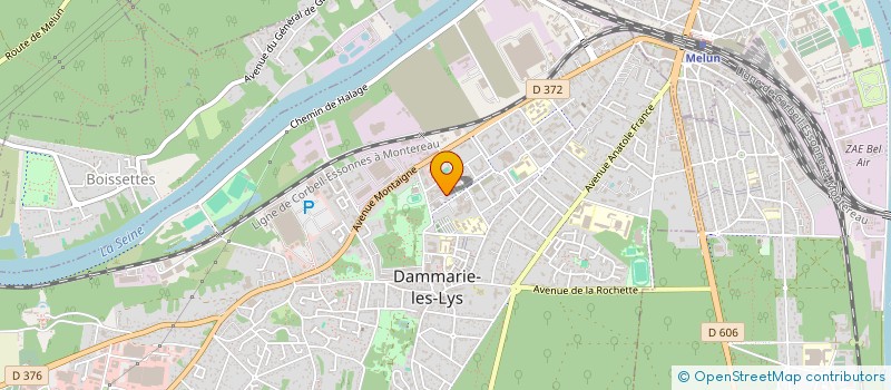 localisation de l'entreprise MONSIEUR SERIGNE N DIAYE  DAMMARIE-LES-LYS