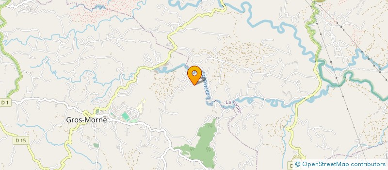 localisation de l'entreprise MONSIEUR SEVERIN DESCAS  GROS-MORNE